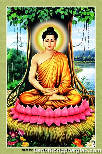 Bổn Sư Thích Ca Mâu Ni Phật (300)